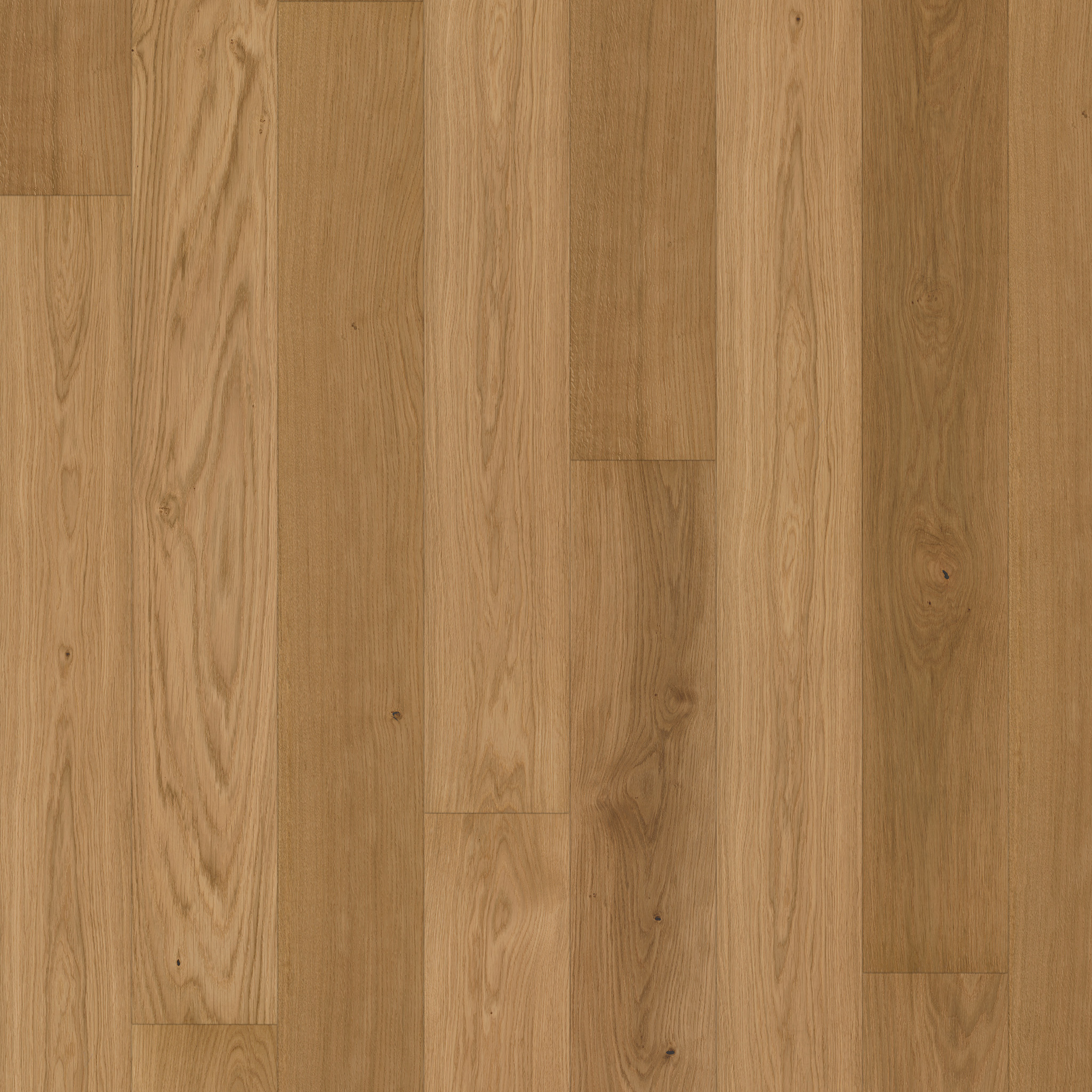 PARAT 15 *Light* Oak knotty