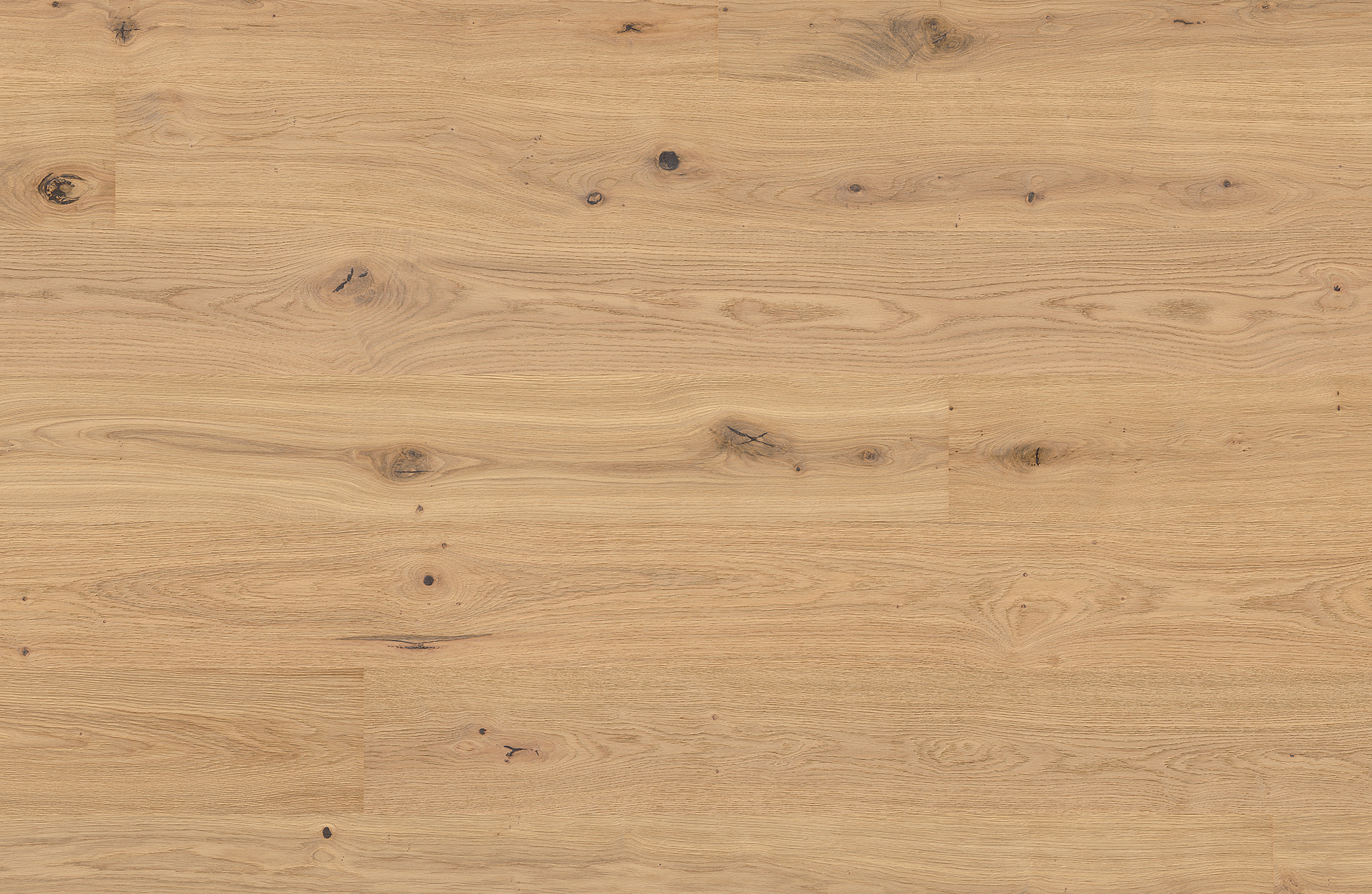 Floor-Art oak sand wideplank