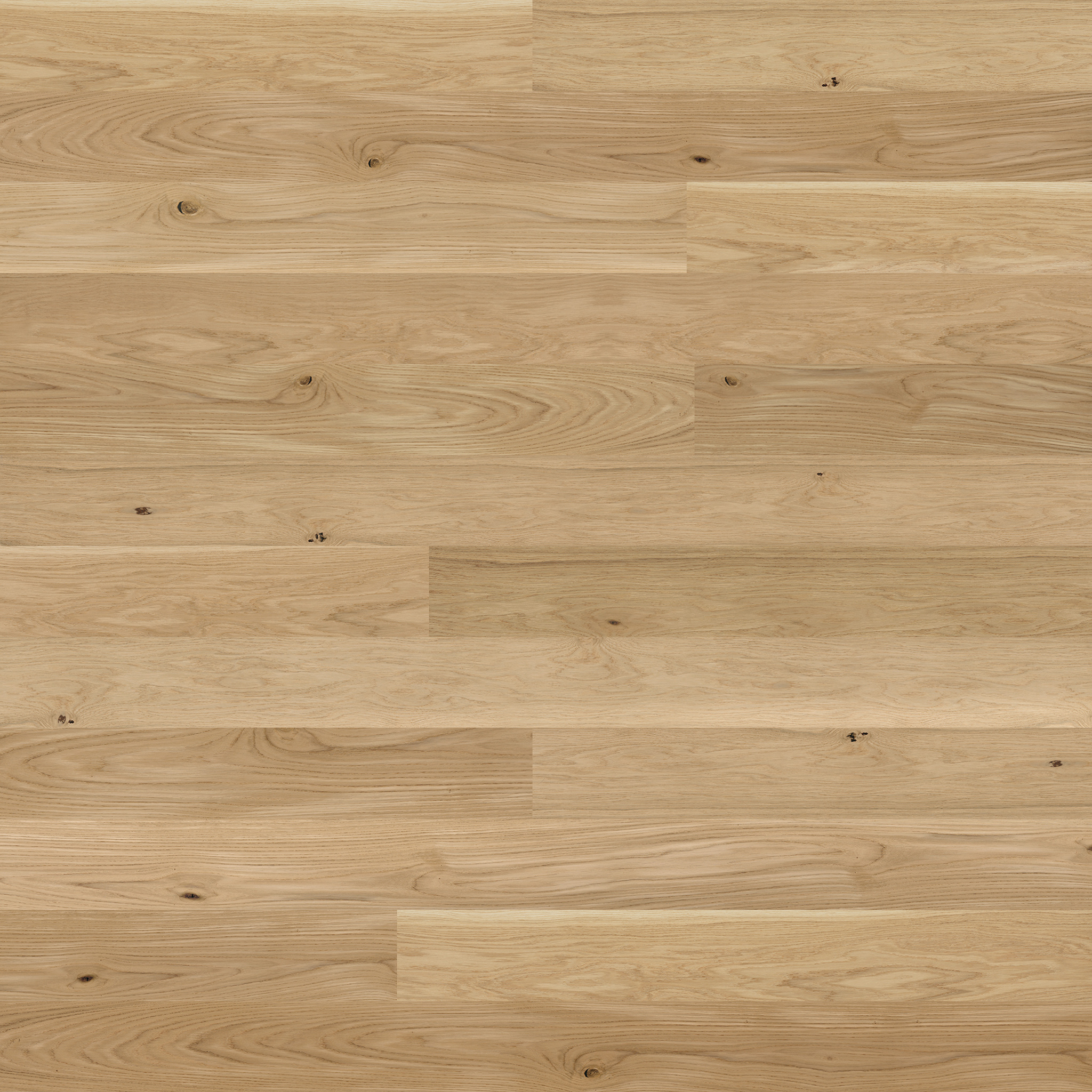 PARAT 15 Oak Trend 1-strip Loc5G matt 