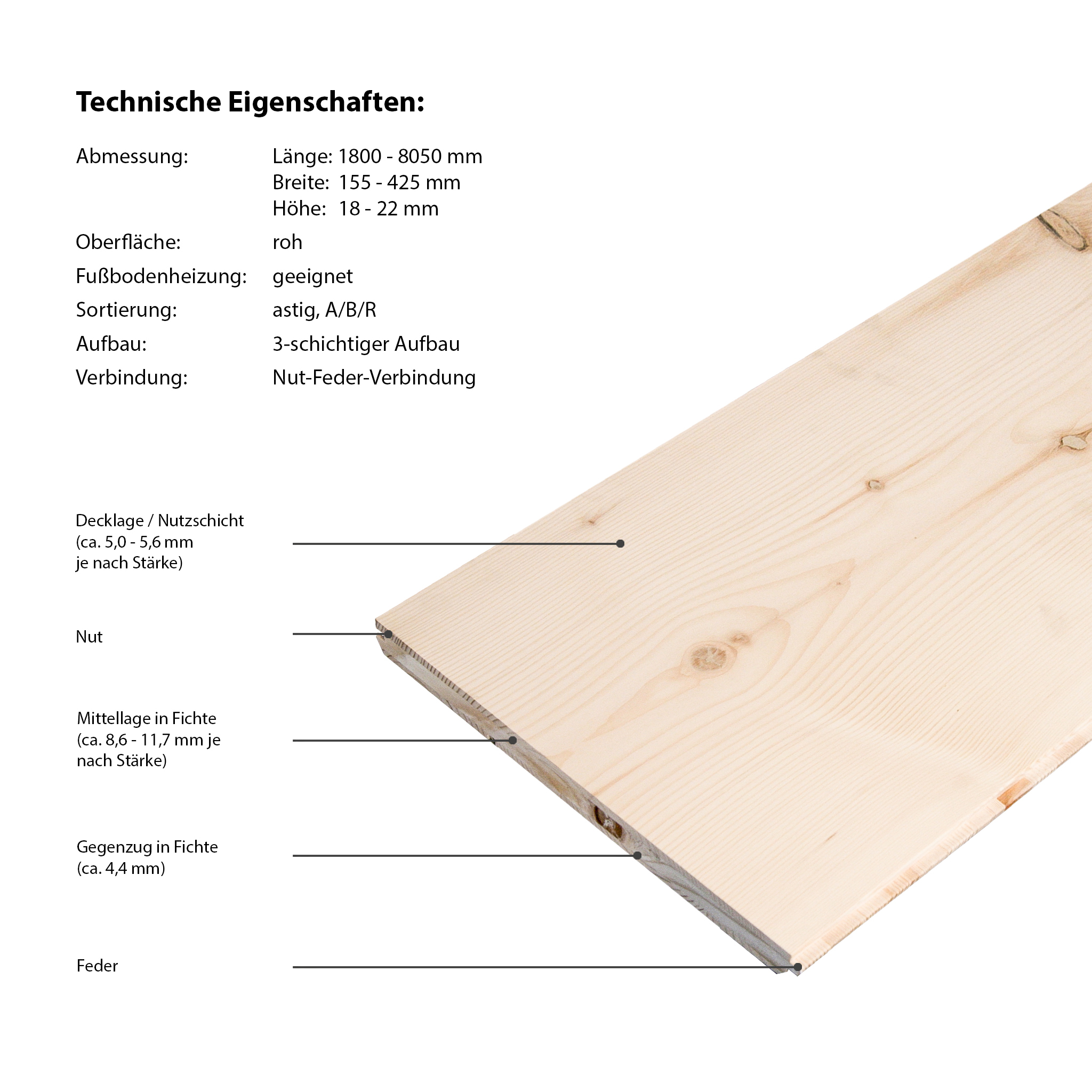 Floor-Art Largo XXL Esche roh Langdiele