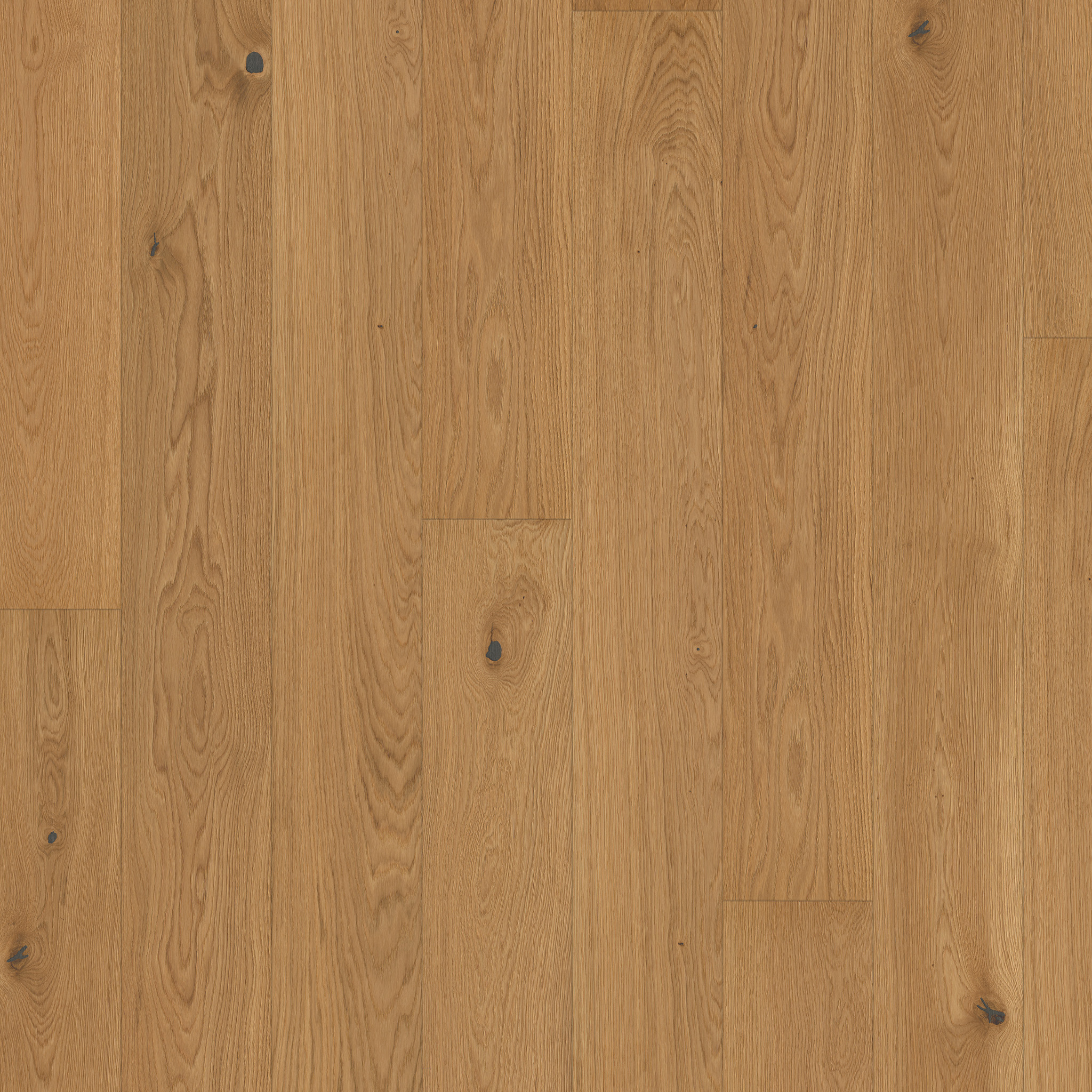 PARAT 15 *Light* Oak Country