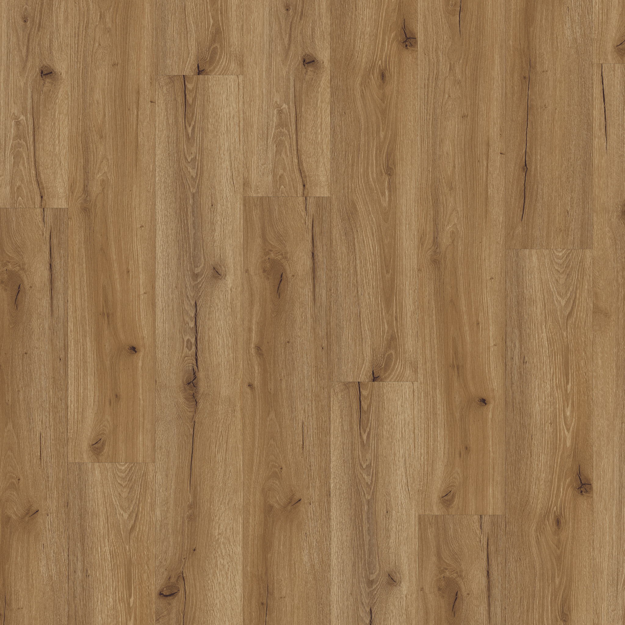 Klebevinyl Holzoptik 0,3 NS - Motion Klebevinyl Holzoptik 0,3 NS - Motion