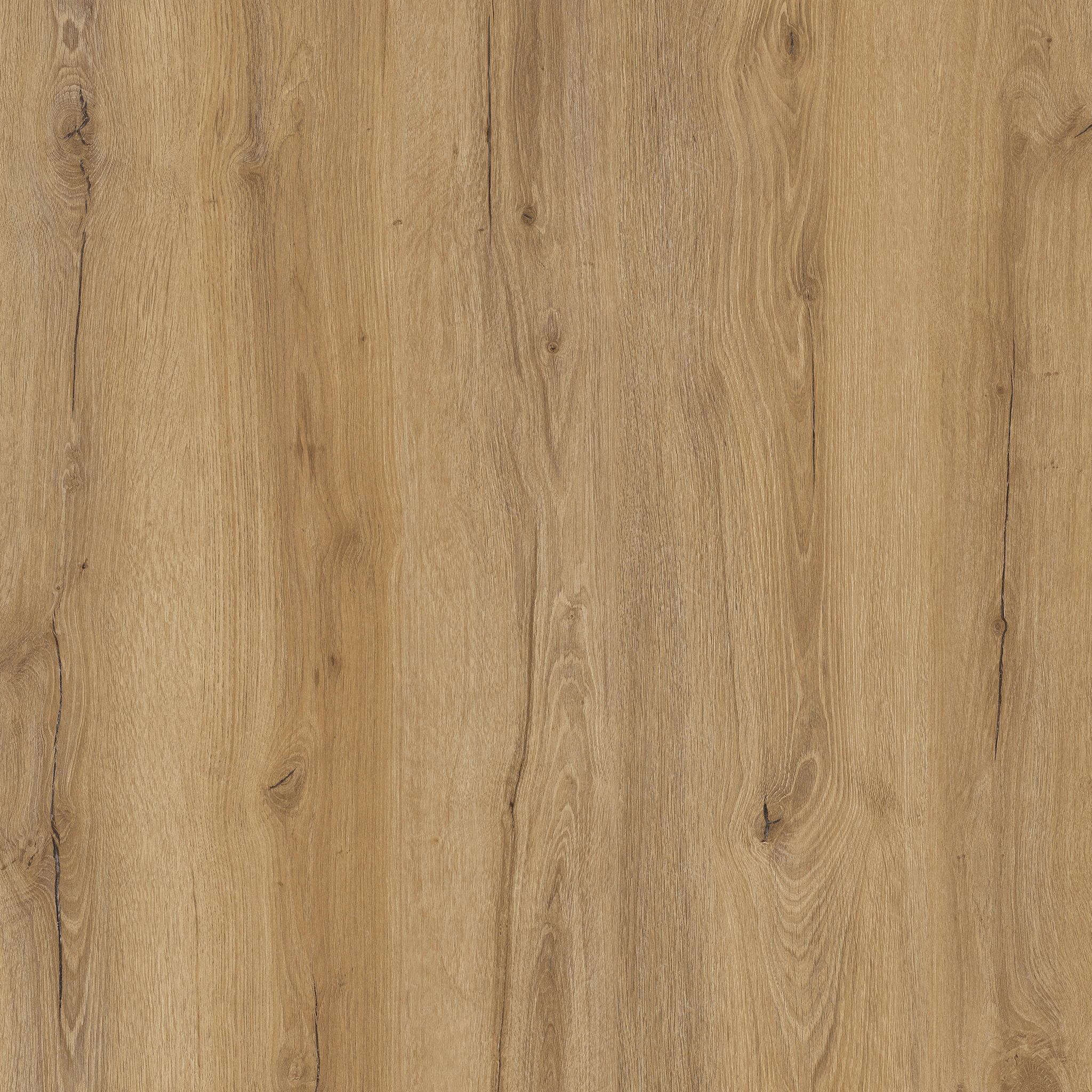 eterna Project Vinyl Virginia Oak 0,5 eterna Project Vinyl Virginia Oak 0,5