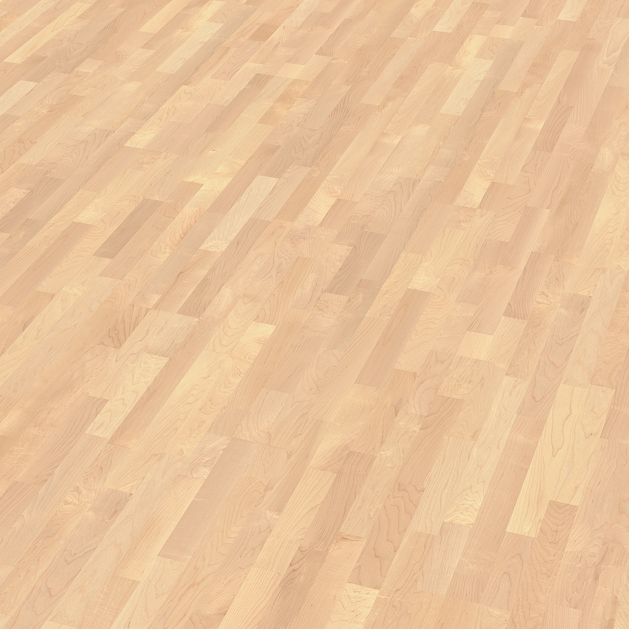 Schiffsboden can. Ahorn Avantgard 