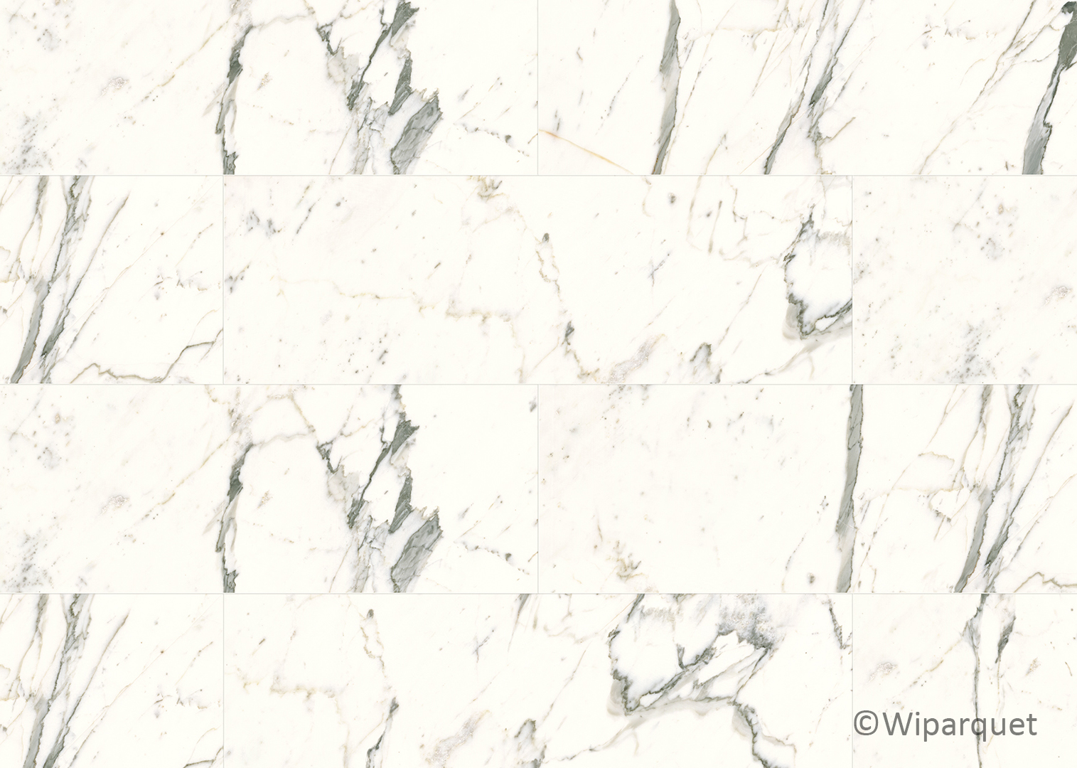 Ceramin Tiles Carrara vained white 