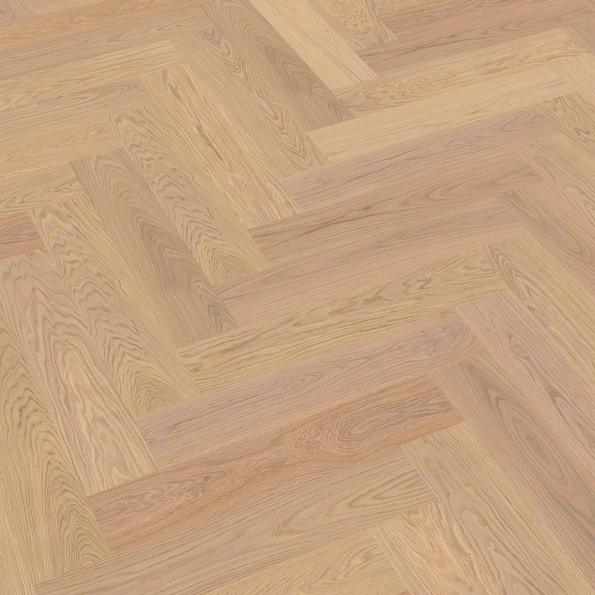 PARAT MP11 Eiche Natur intensivweiß PARAT MP11 Eiche Natur intensivweiß