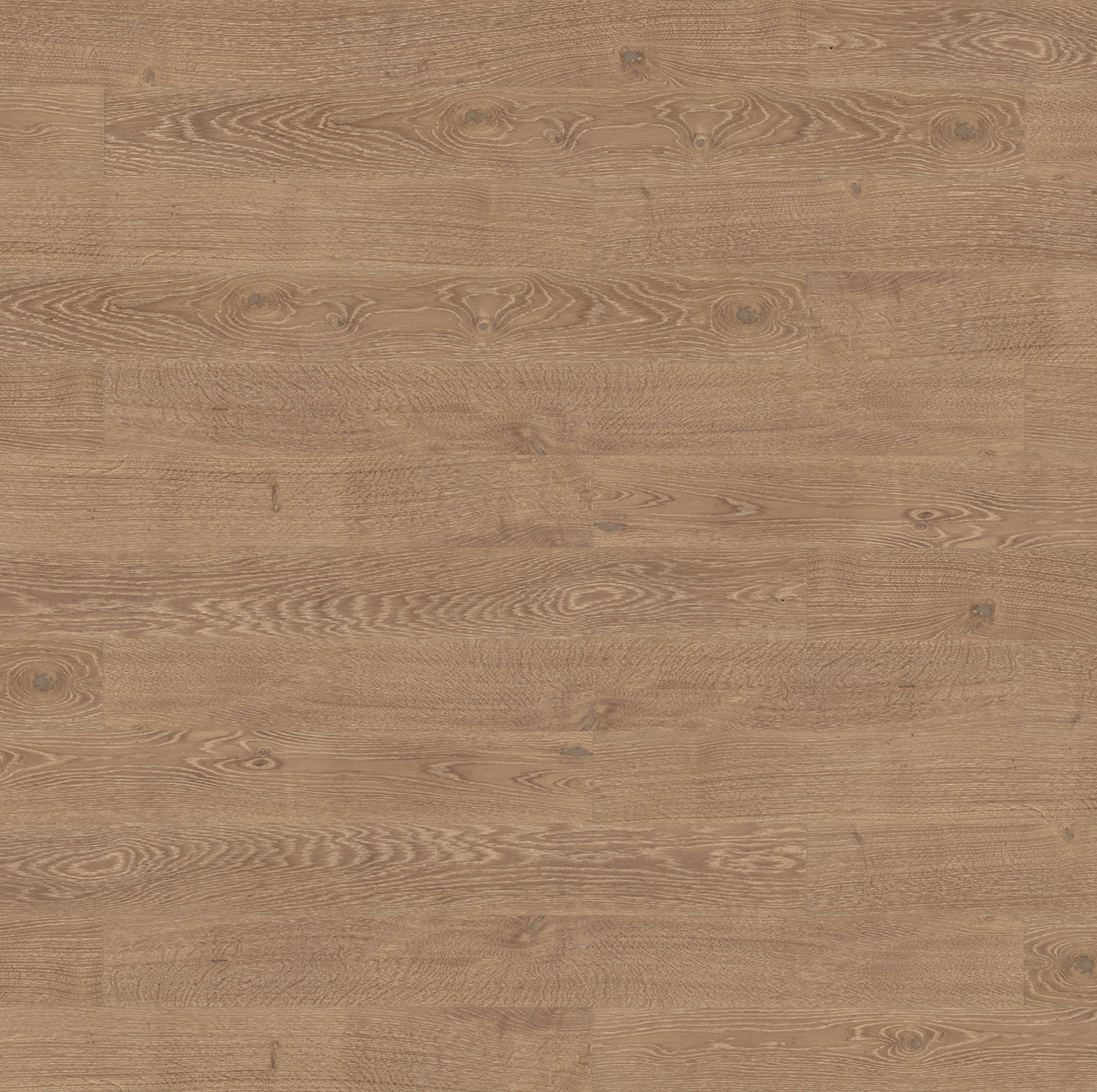 Floor-Art Da Vinci oak natura creme