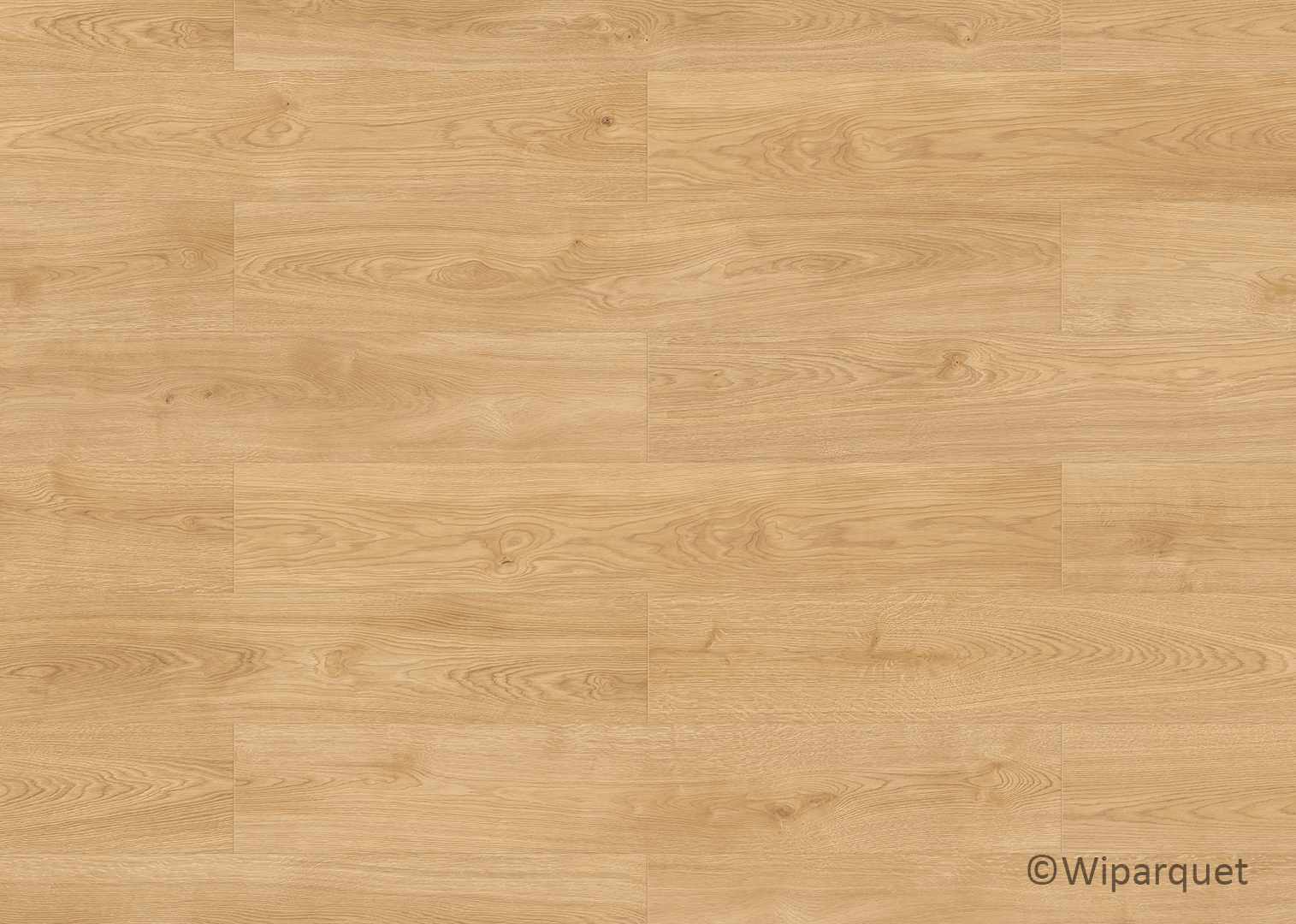 Universe Wood Besancon design floor 4V