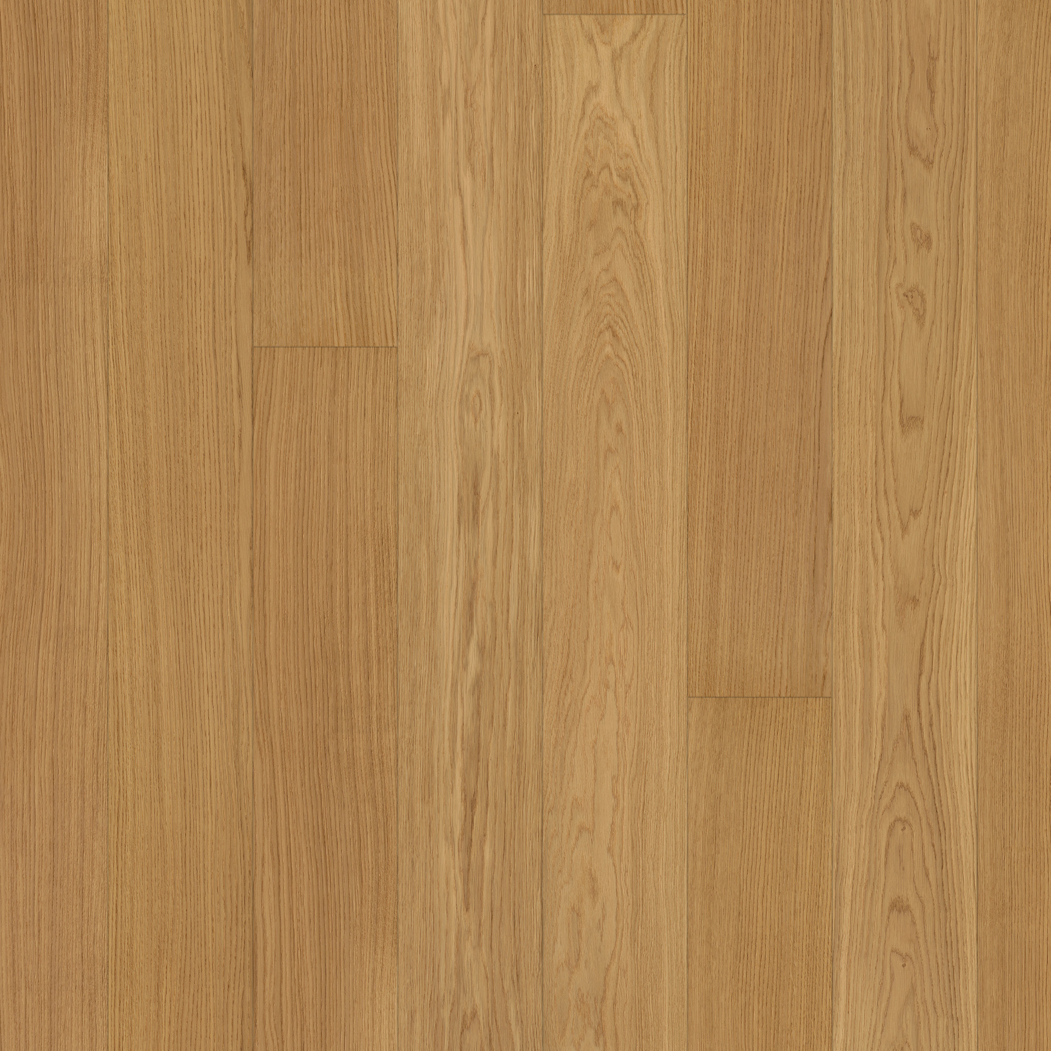 PARAT 15 *Light* Oak nature
