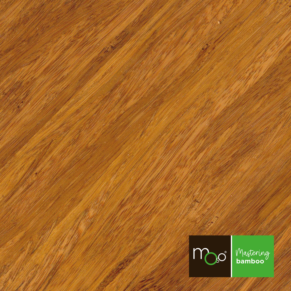 Bamboo steamed density coat solid-plank Bamboo steamed density coat solid-plank