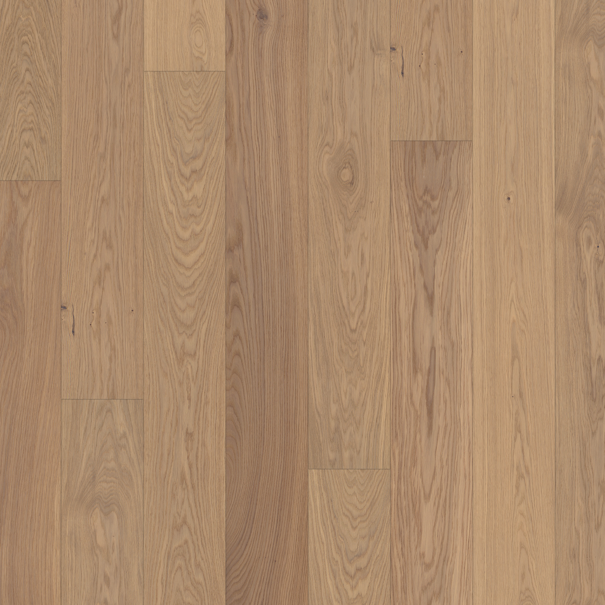 PARAT 15 *Light* Oak knotty