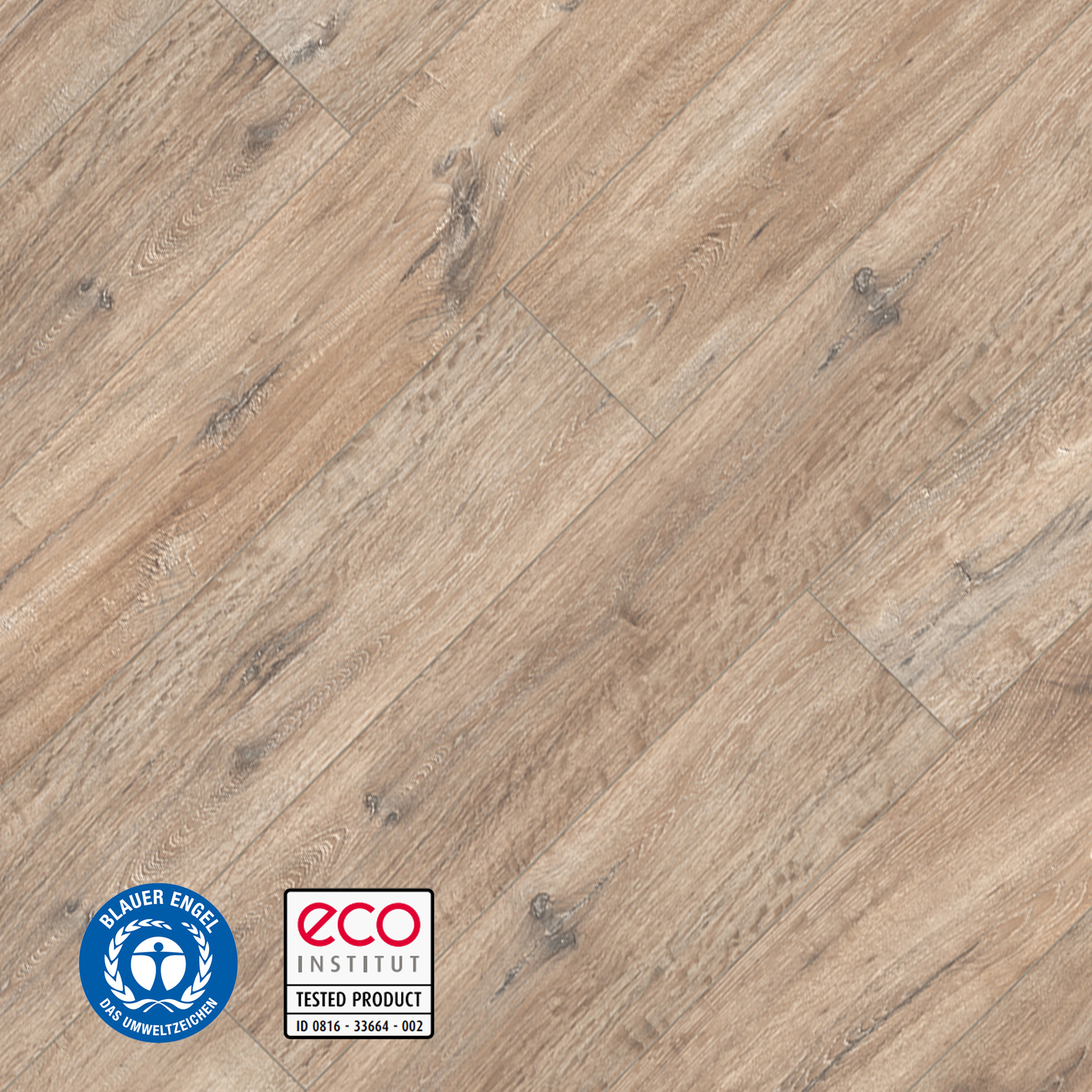 eterna Loc 7 Shackleton Oak  eterna Loc 7 Shackleton Oak