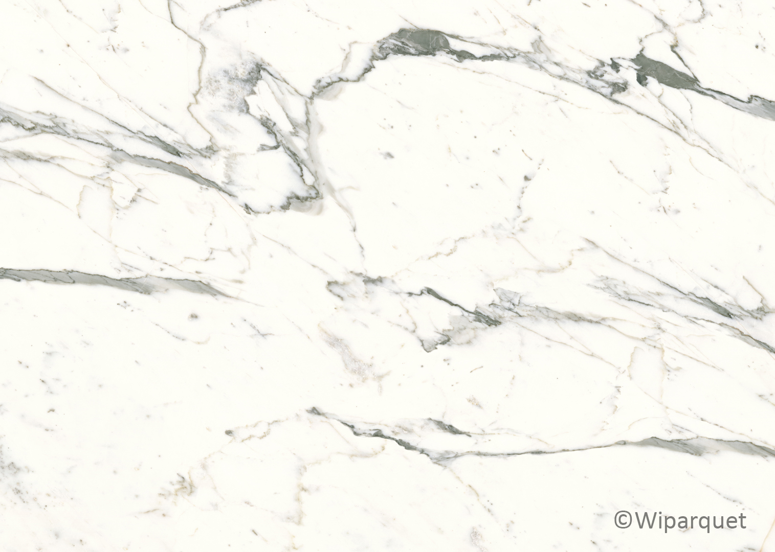 Ceramin Tiles Carrara vained white